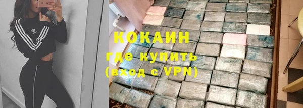 дживик Мегион