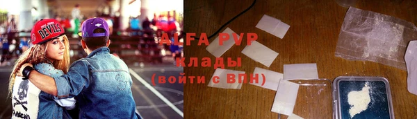 твердый Майский