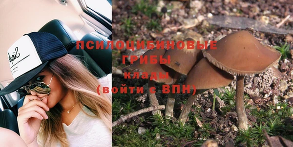 прущая мука Магас