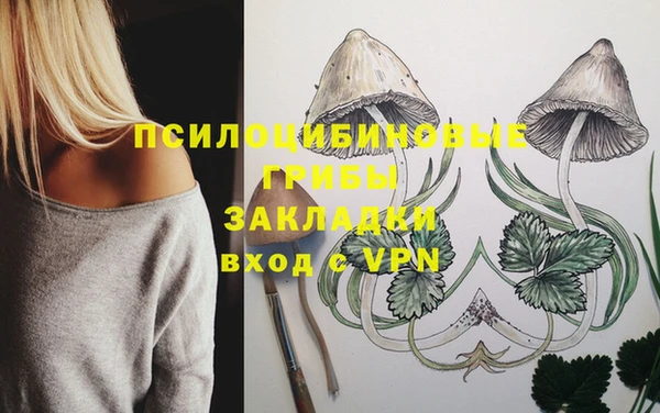 марихуана Магадан