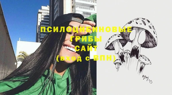 твердый Майский