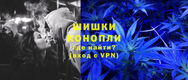 дживик Мегион