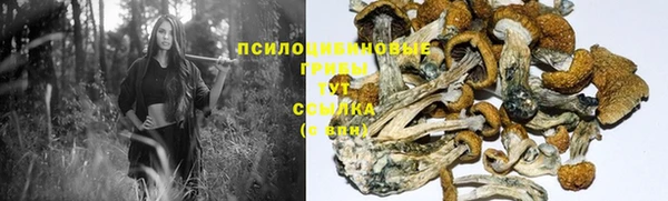 мдпв Медногорск