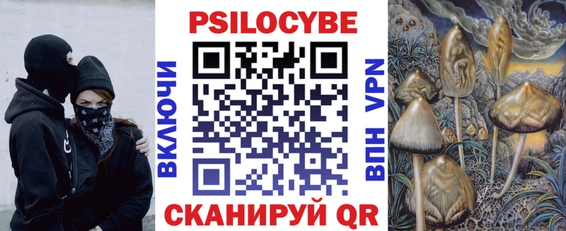 Купить закладки  Алагир  Псилоцибиновые грибы прущие грибы 
